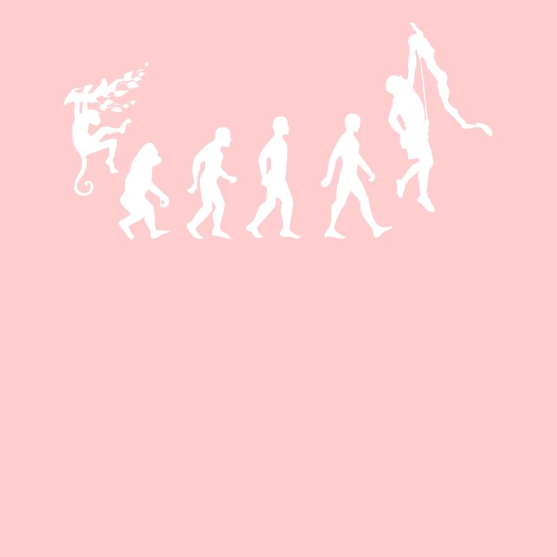 Evolution du grimpeur