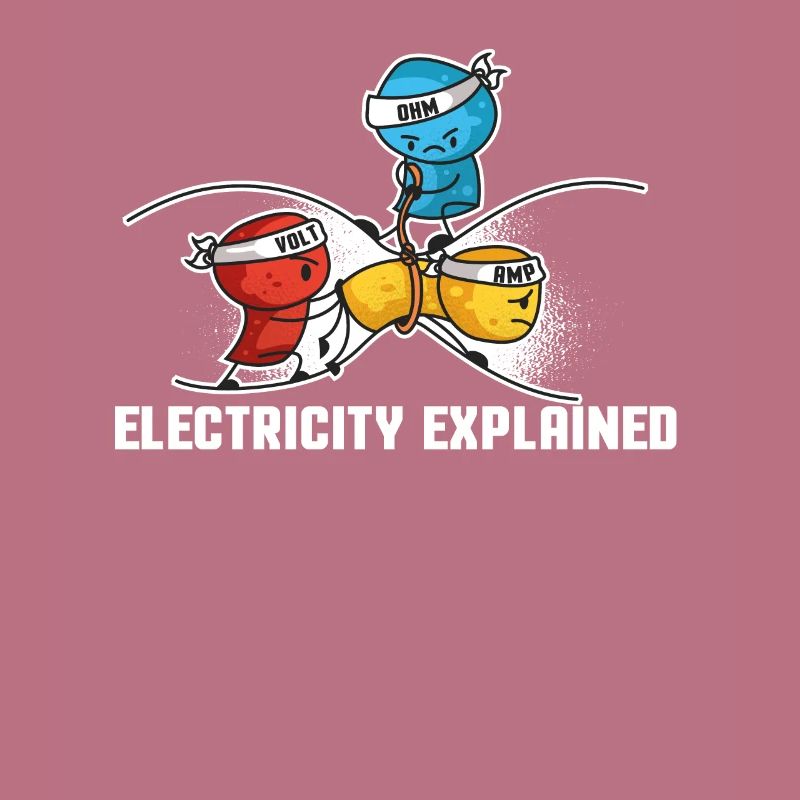 Electricity Explained Physics | Funny Teacher Nerd