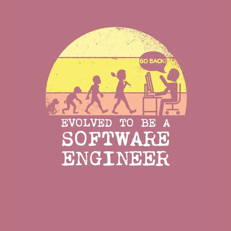 Evolved to be a software engineer
