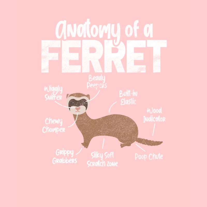 Furet