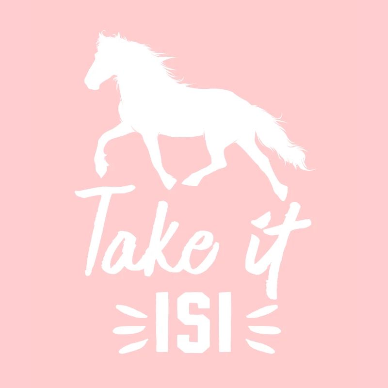 Cheval islandais Take it Isi 2