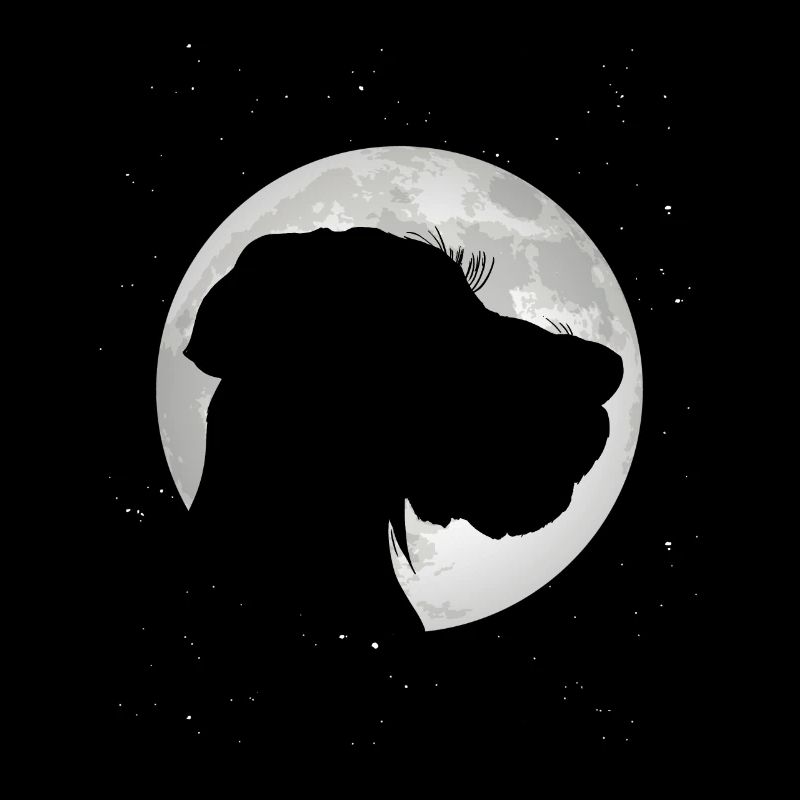 German Wirehaired Pointer Moon Hound Dogs