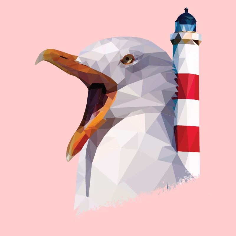 Lighthouse, Seagull - Baltic Sea North Sea Vacation