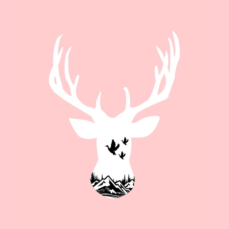 Deer hunting outdoors mountain