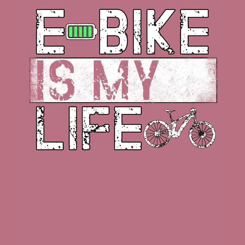 Ebike Cyclisme Retro E vélo vélo batterie vélo