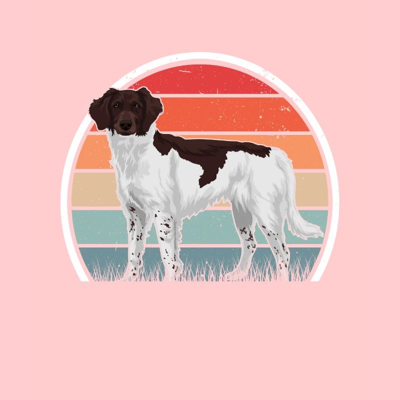 Kleiner Münsterländer Retro