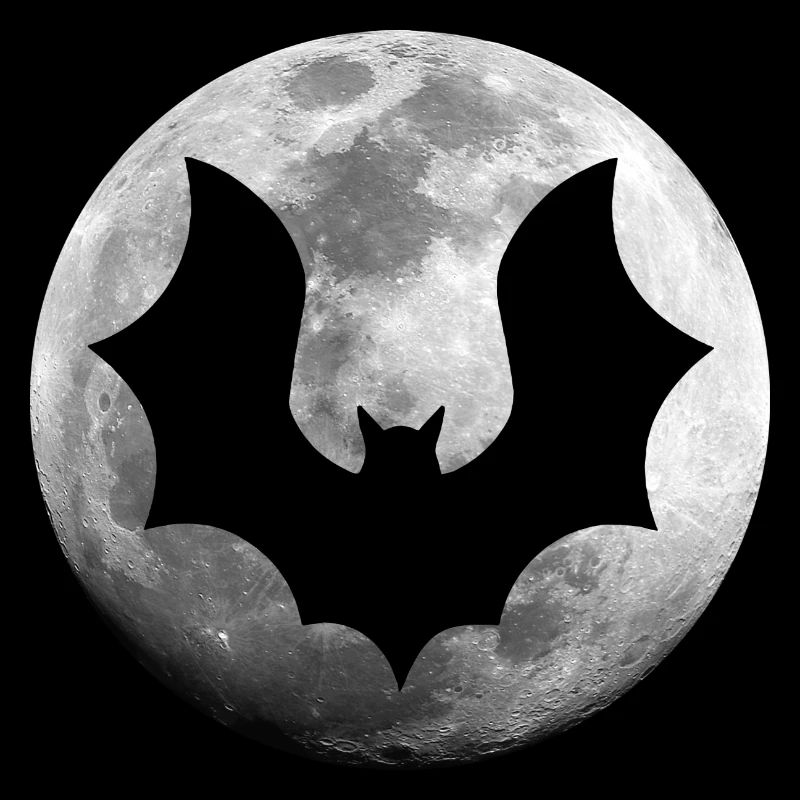 Bat Full Moon Night