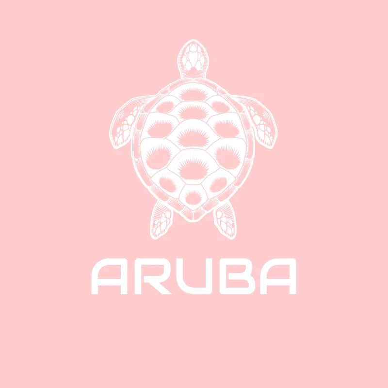 Aruba Turtle Sun Beach Vacances à la mer