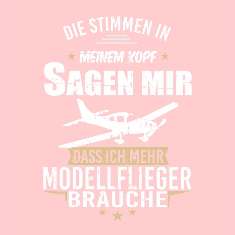 Modellbau Flugzeug Modellflug