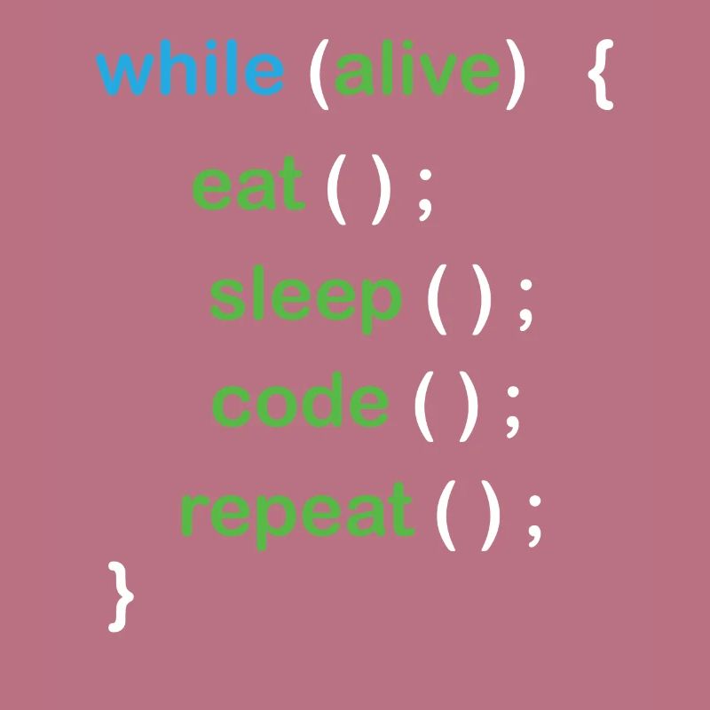Développeur de logiciels de codage Python