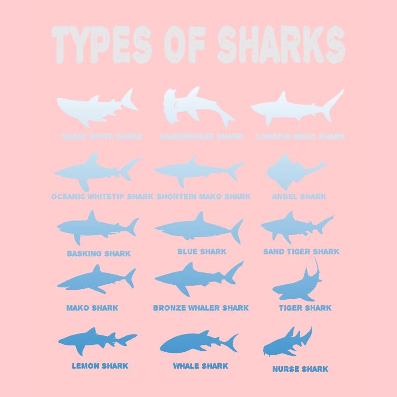 Types de requins