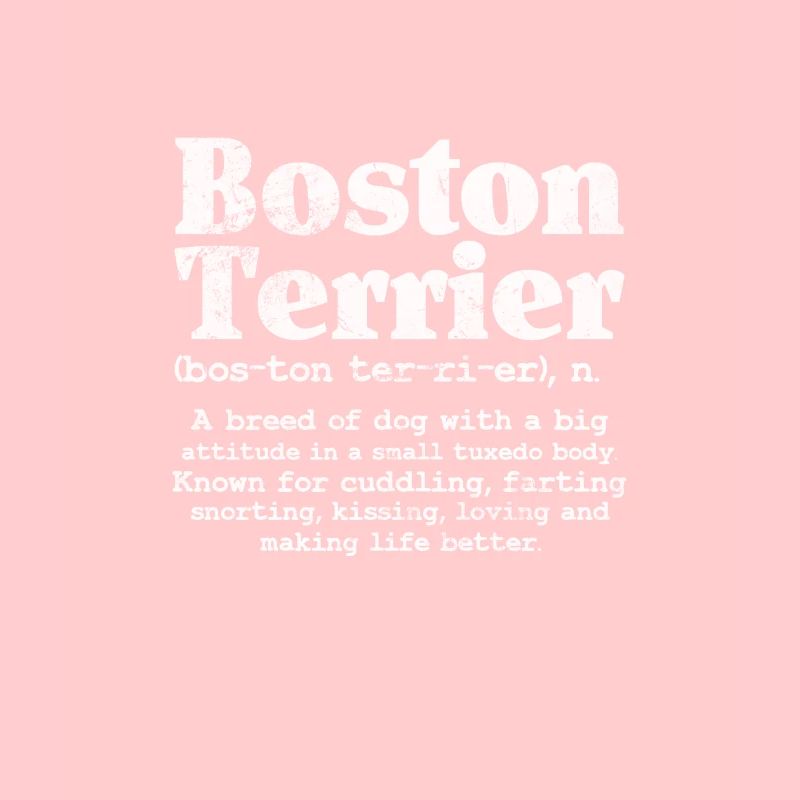 Boston Terrier