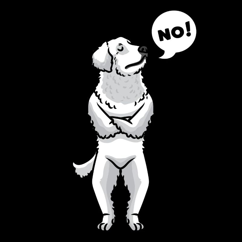 Kuvasz Hund