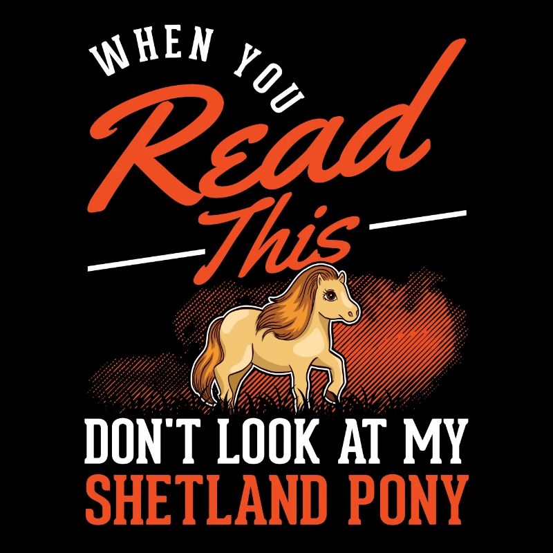 Shetland Pony Geschenk Shetty