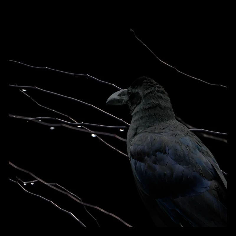 Dark Thoughts - Corbeau devant des branches mouillées II
