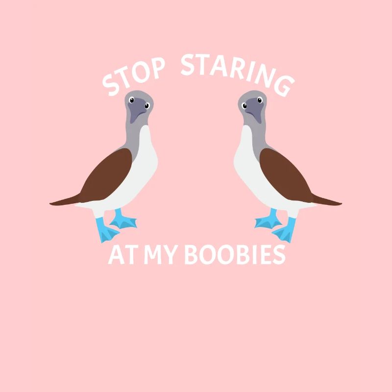 Stop Staring Boobies Blaufußtölpel Vogel