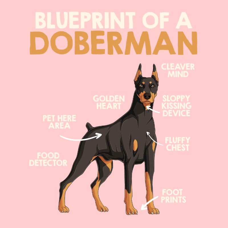 Doberman Besitzer BAUPLAN EINES DOBERMANNS Lustig