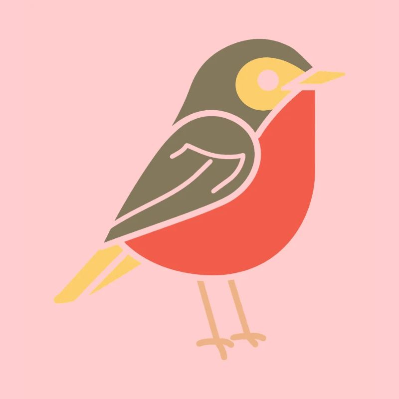 robin BIRD