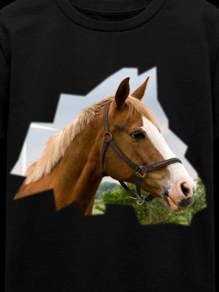 Hest. Hest.