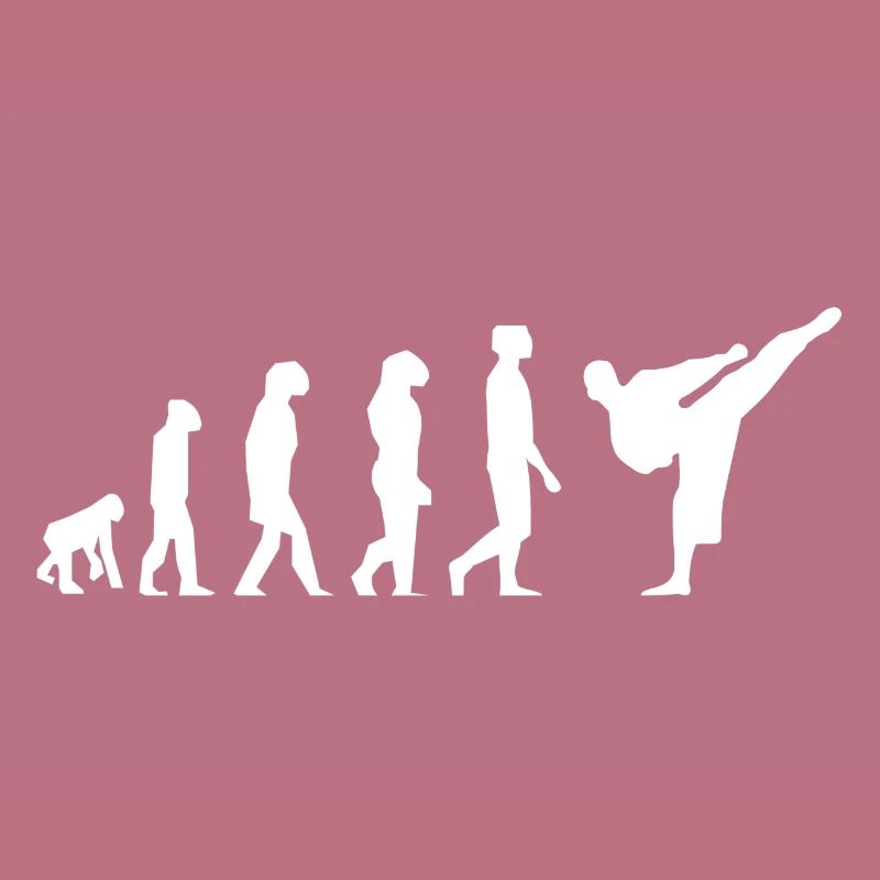 Karaté évolution
