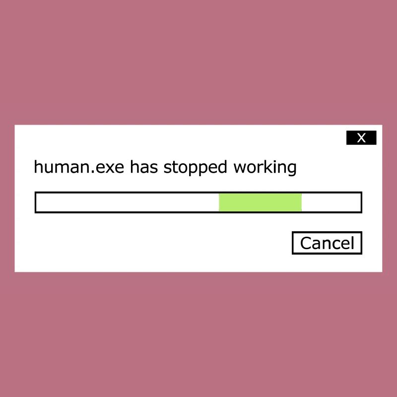 human.exe has stopped working Spruch human .exe