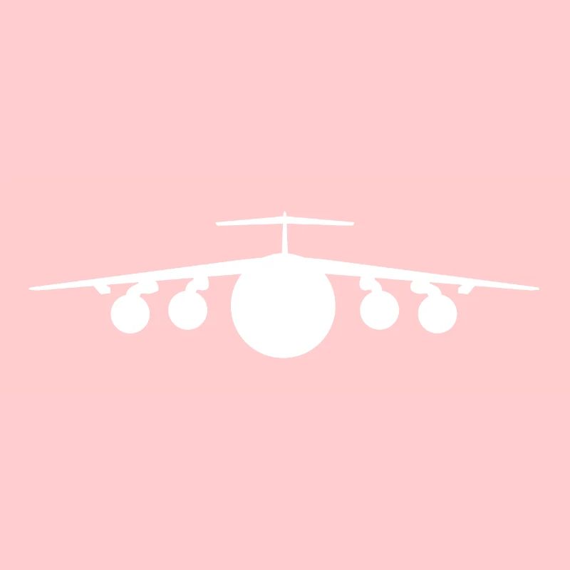 Transport aircraft, front view
