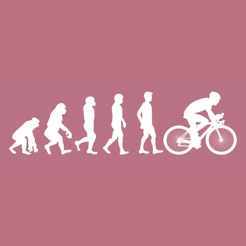 Fahrrad Evolution weiß