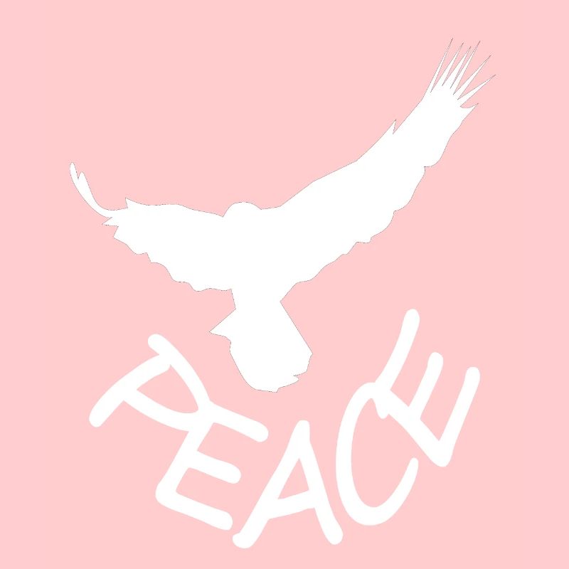 Peace Freedom Free Peace Dove Gift