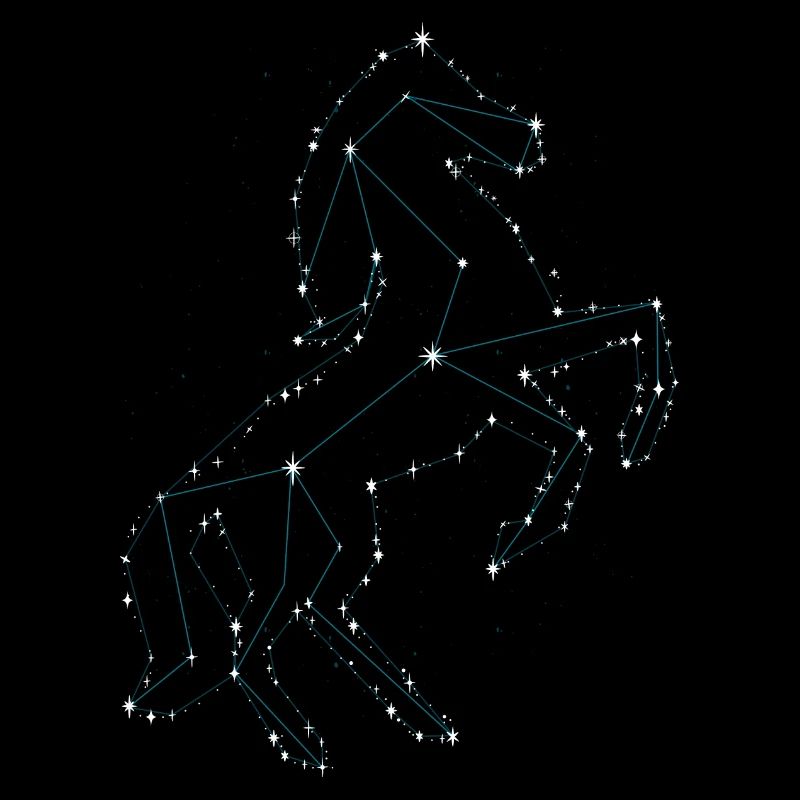 Pferd