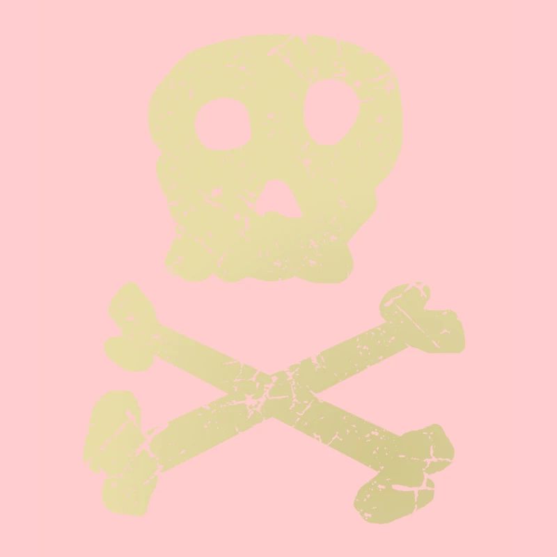 Vintage pirate flag