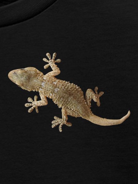 Gecko