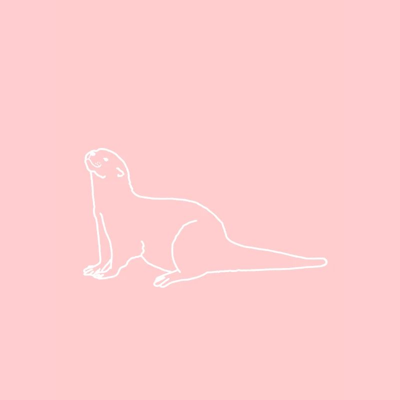 Otter