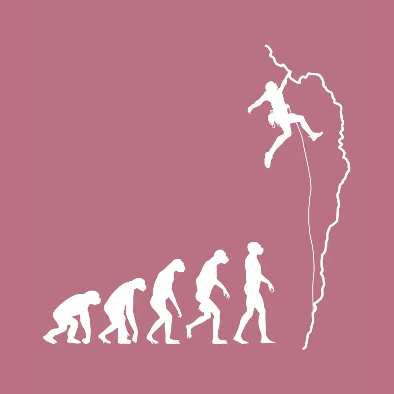 Escalade évolution grimpeur rocher cadeau