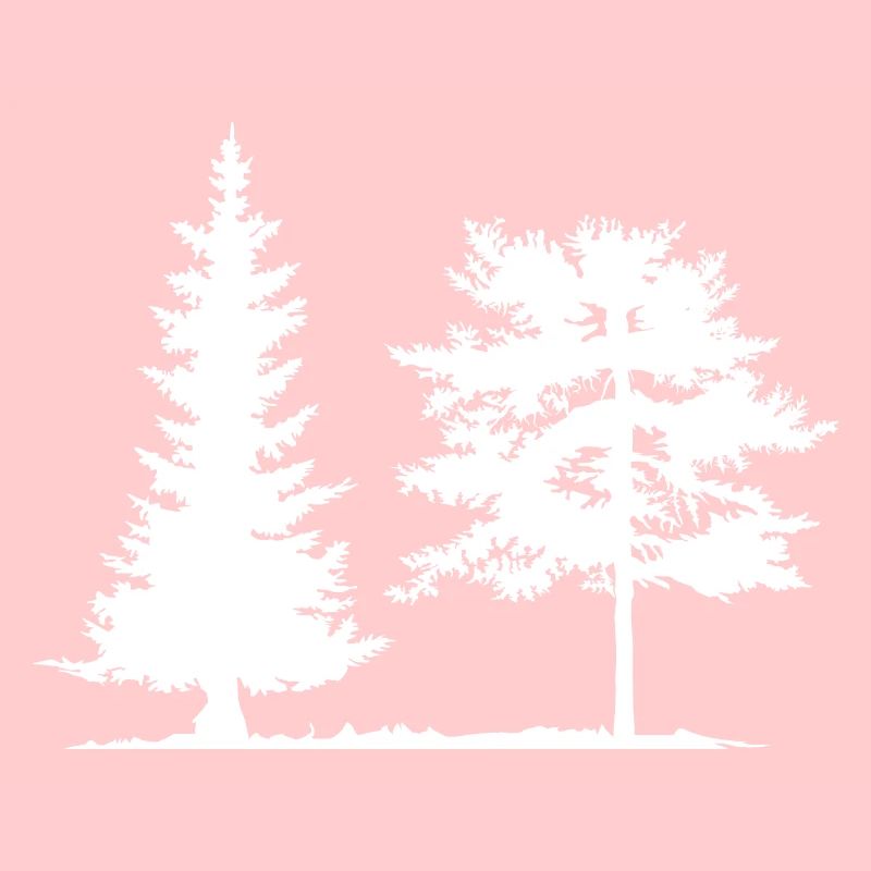 Tree, Spruce, Forest, Camping, Nature, Mixed Forest, Pine