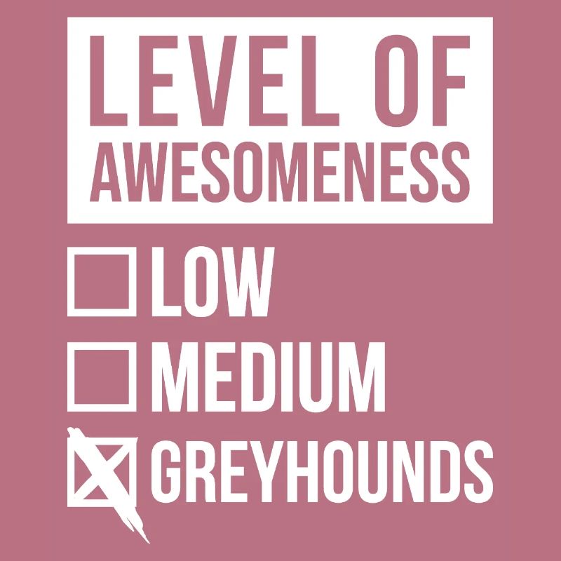 Greyhound
