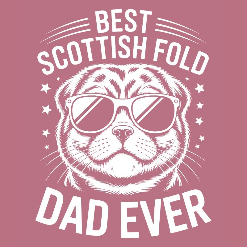 Schottische Faltohrkatzen Scottish Fold Geschenk