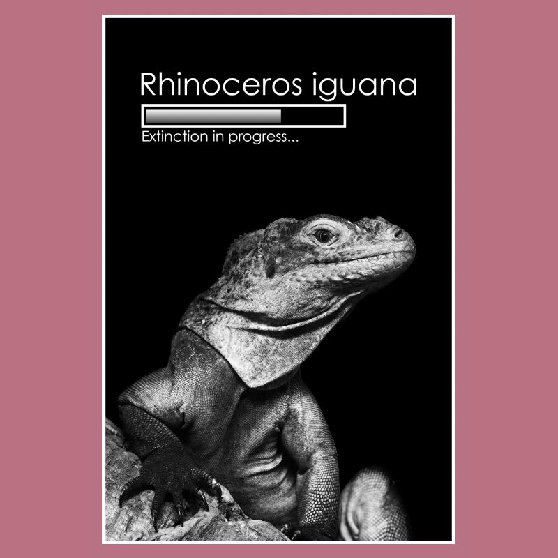 Extinction in progress