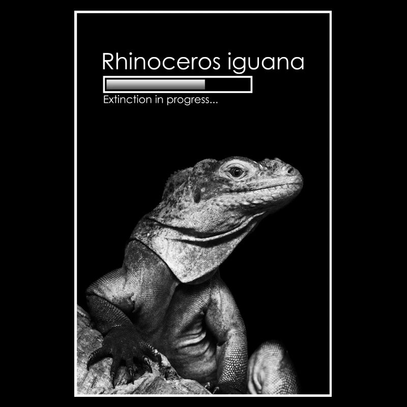 Extinction in progress