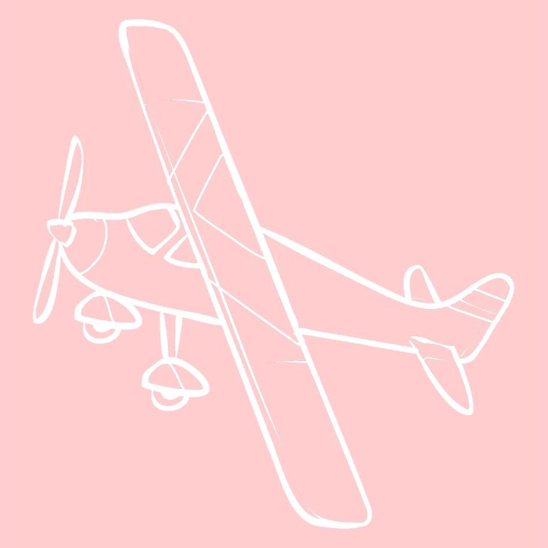 Modèle d’avion télécommandé