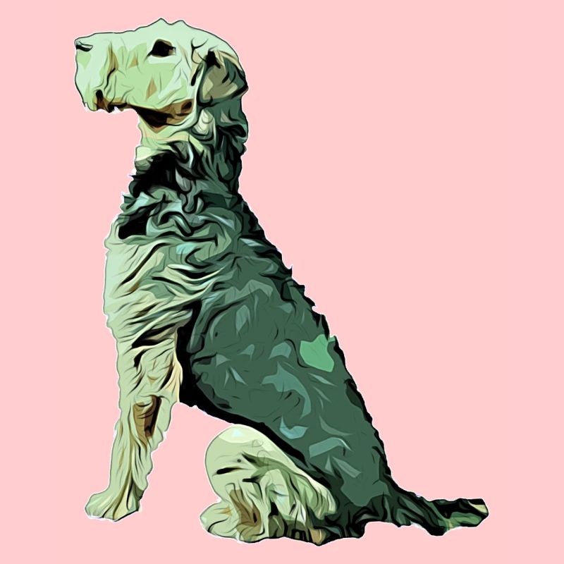 Airedale Terrier