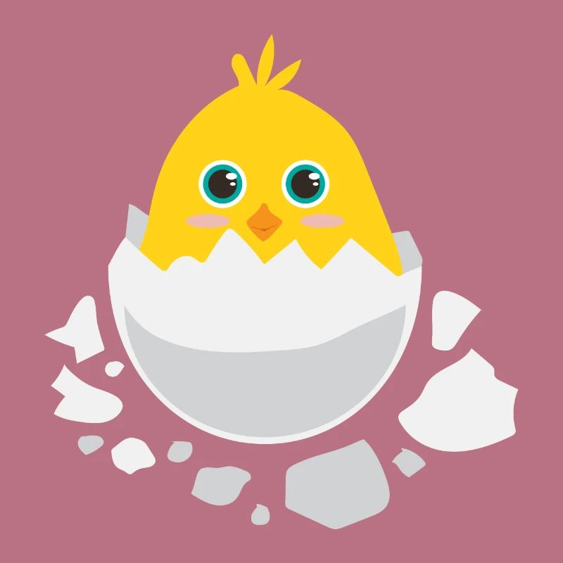 Baby chick hatching - Gift idea