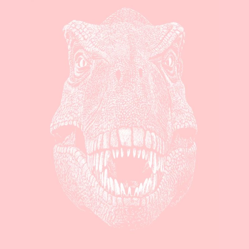 Dinosaur