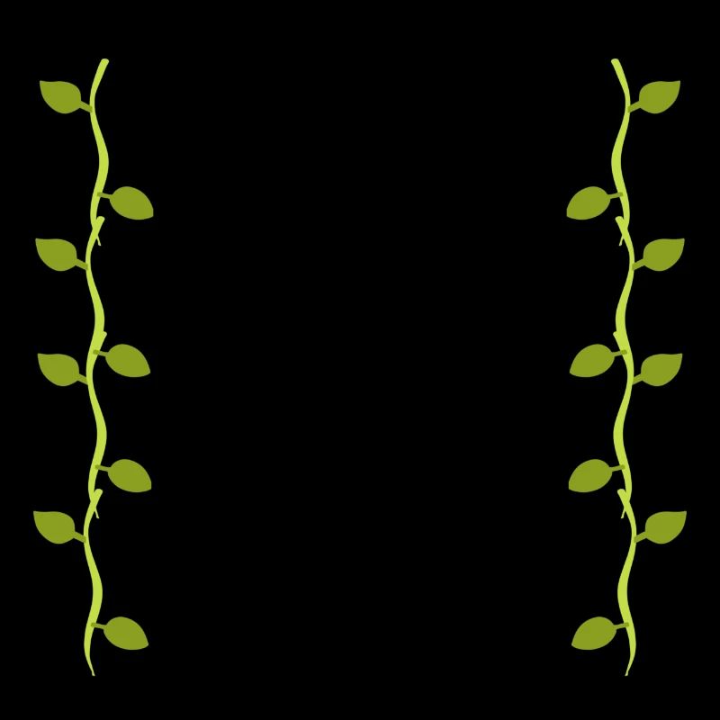 Leaves Line Nature Leaf Branches