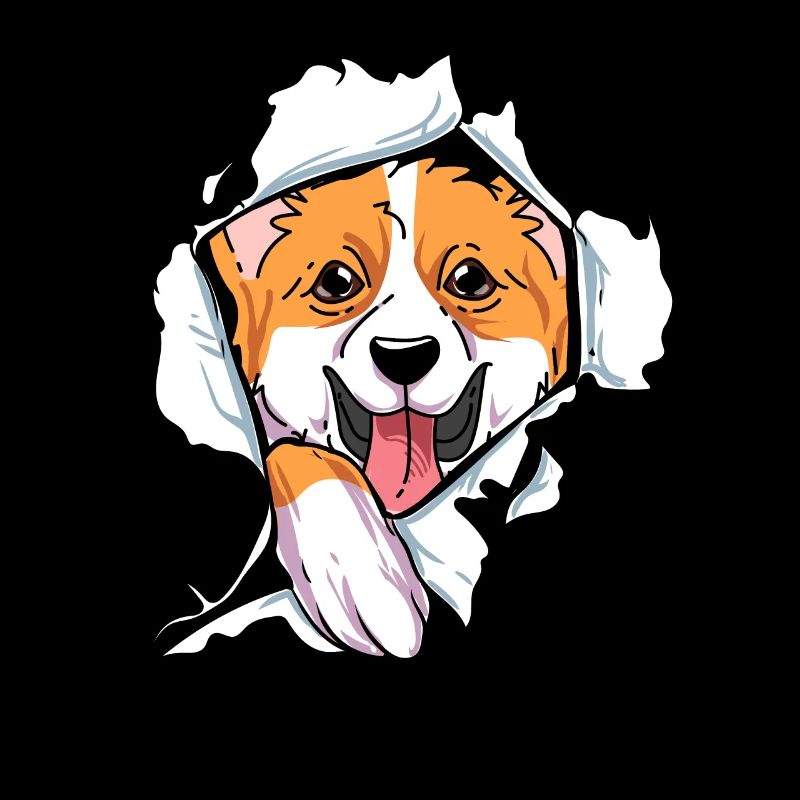 Welsh Corgi