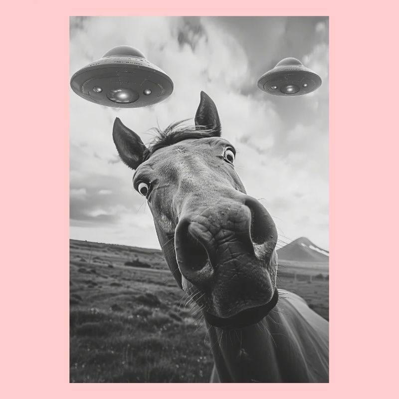 Cheval selfie OVNI