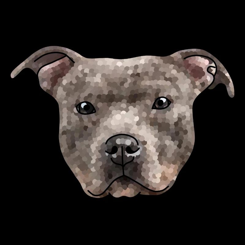 Staffy