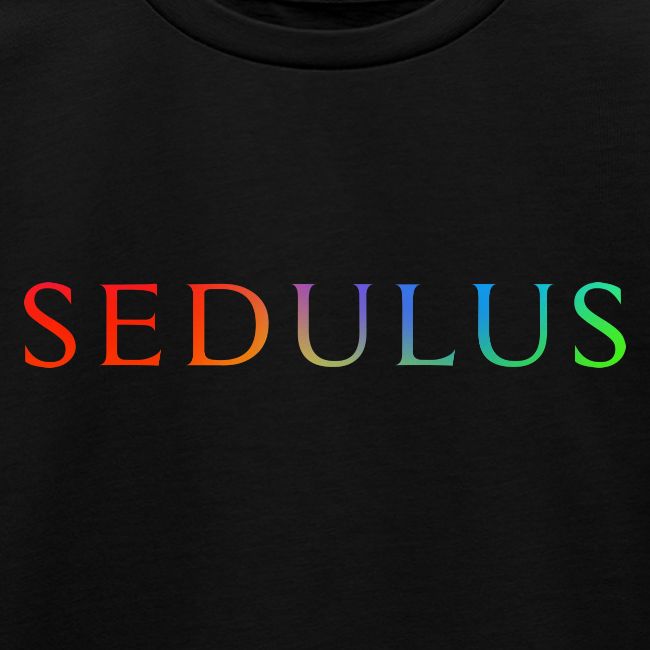 SEDULUS Schriftzug Rainbow