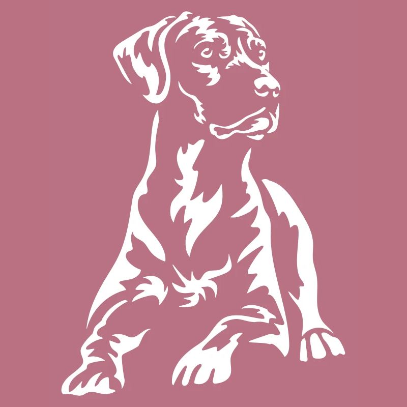 Rhodesian Ridgeback « Black Edition »