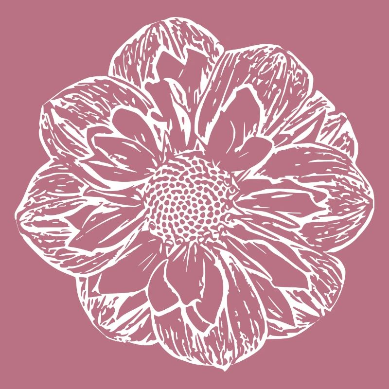 Fleur, Blanc, Fleur Blanche
