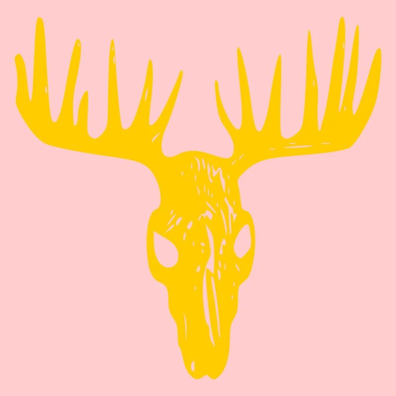 Moose skull / Moose sake
